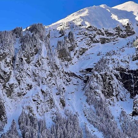 Waterfall View Kandersteg Dış mekan fotoğraf